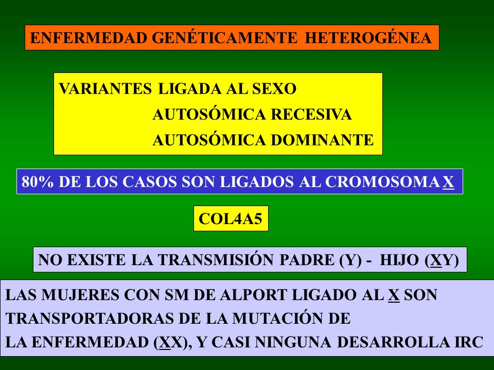 ENFERMEDAD GENÉTICAMENTE HETEROGÉNEA