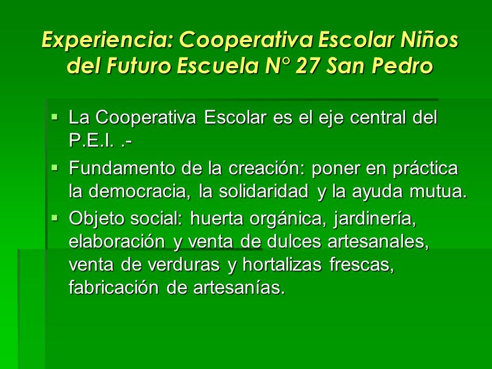 Experiencia: Cooperativa Escolar Niños del Futuro Escuela N° 27 San Pedro