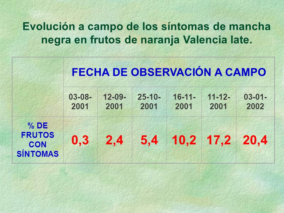 FECHA DE OBSERVACIÓN A CAMPO % DE FRUTOS CON SÍNTOMAS