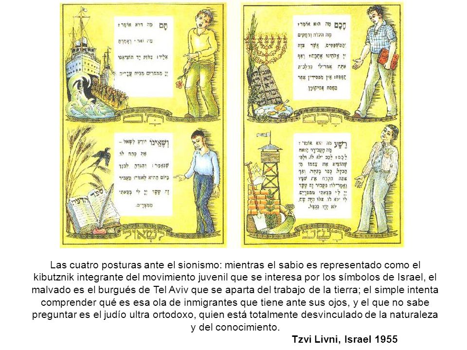 Las cuatro posturas ante el sionismo: mientras el sabio es representado como el kibutznik integrante del movimiento juvenil que se interesa por los símbolos de Israel, el malvado es el burgués de Tel Aviv que se aparta del trabajo de la tierra; el simple intenta comprender qué es esa ola de inmigrantes que tiene ante sus ojos, y el que no sabe preguntar es el judío ultra ortodoxo, quien está totalmente desvinculado de la naturaleza y del conocimiento.