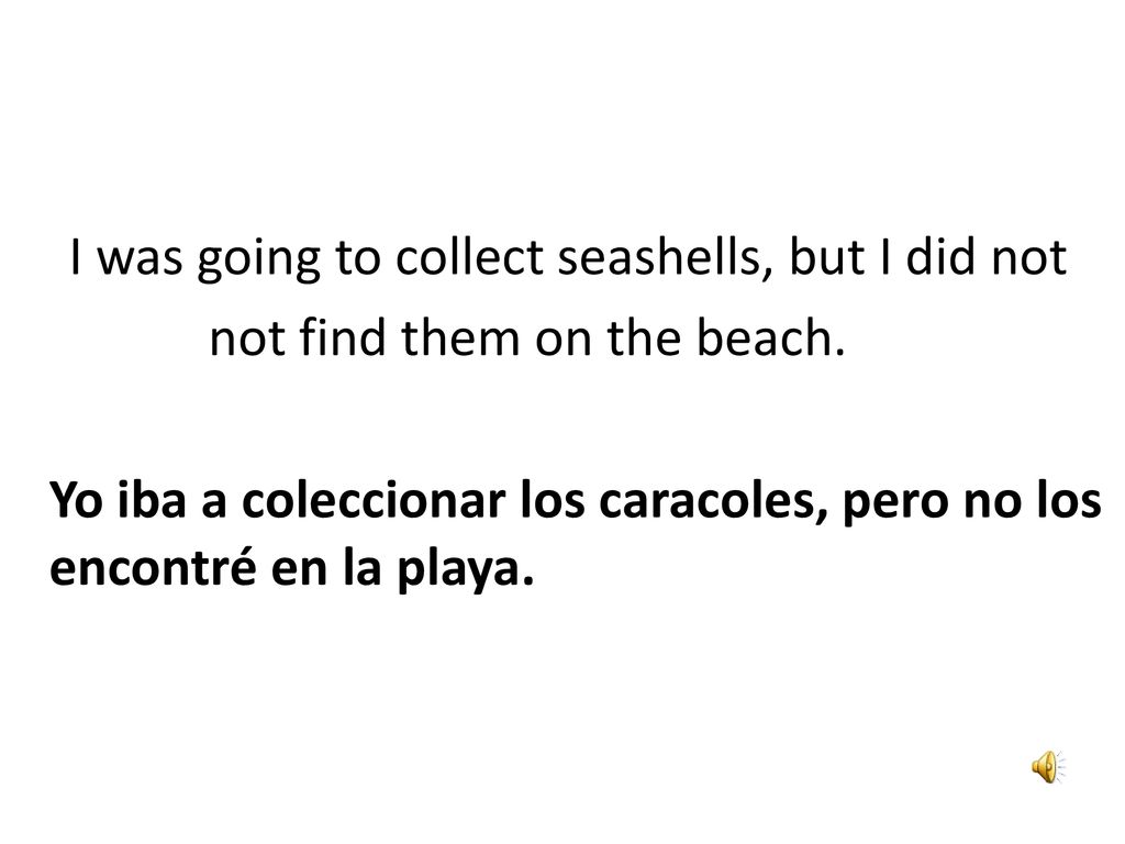 I was going to collect seashells, but I did not