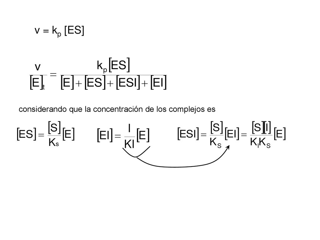 v = kp [ES] considerando que la concentración de los complejos es