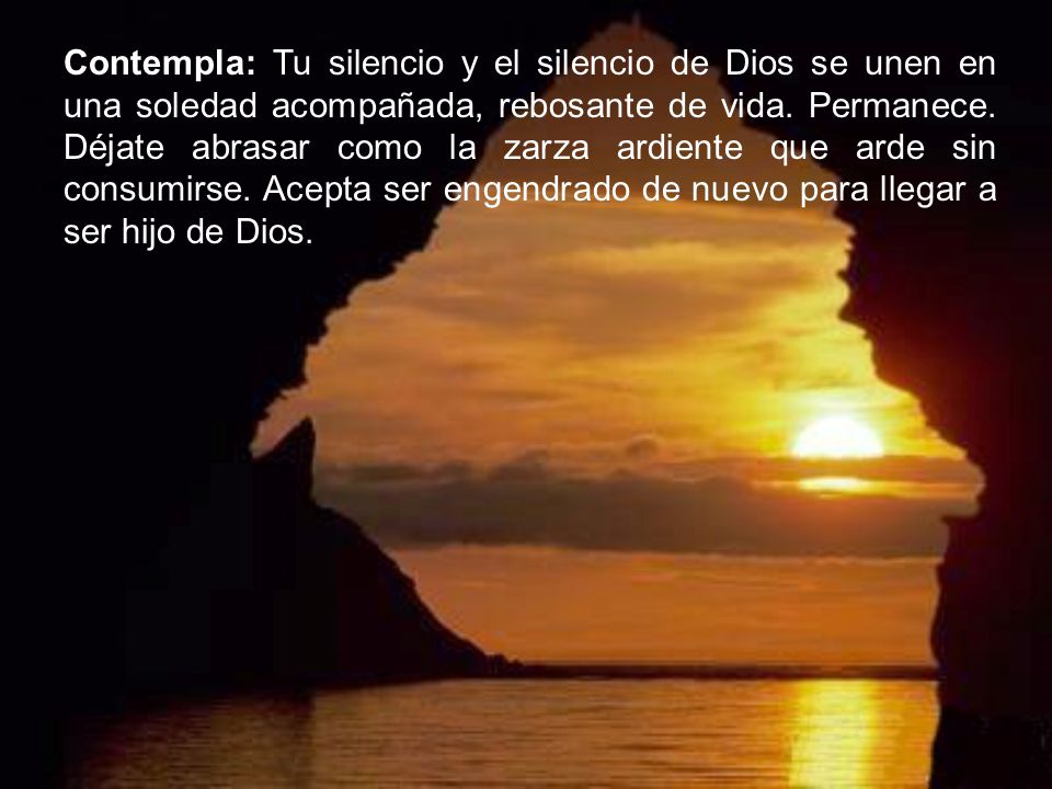 Contempla: Tu silencio y el silencio de Dios se unen en una soledad acompañada, rebosante de vida.