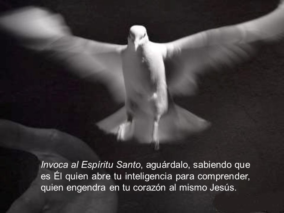 Invoca al Espíritu Santo, aguárdalo, sabiendo que es Él quien abre tu inteligencia para comprender, quien engendra en tu corazón al mismo Jesús.