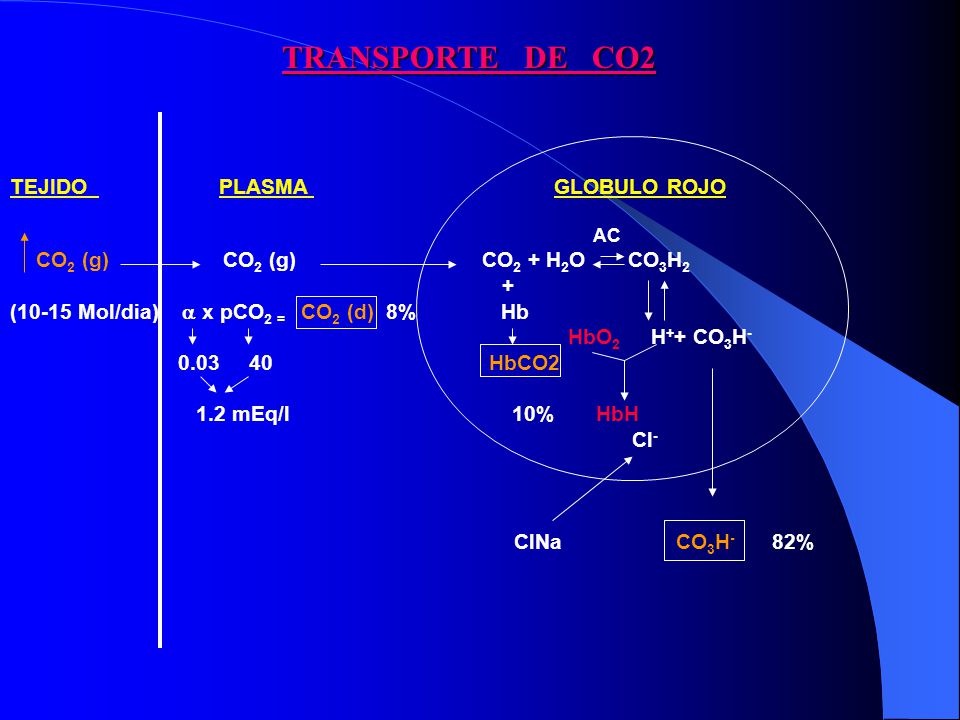 TRANSPORTE DE CO2 TEJIDO PLASMA GLOBULO ROJO +