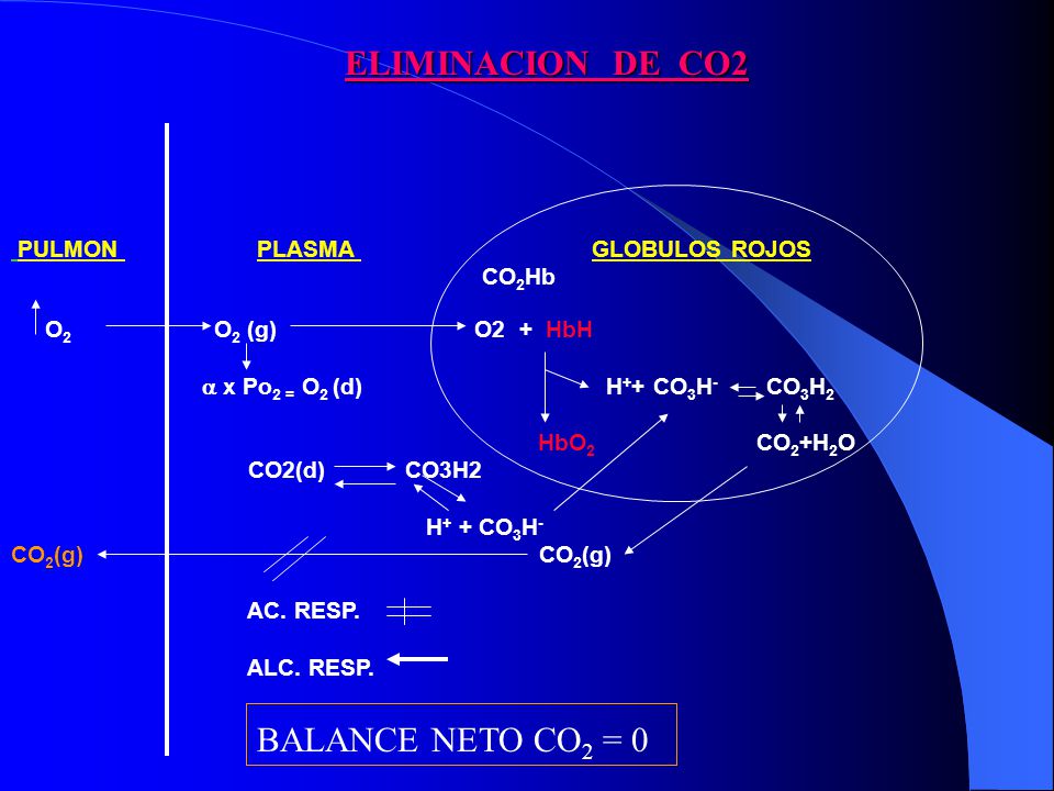 ELIMINACION DE CO2 BALANCE NETO CO2 = 0 PULMON PLASMA GLOBULOS ROJOS