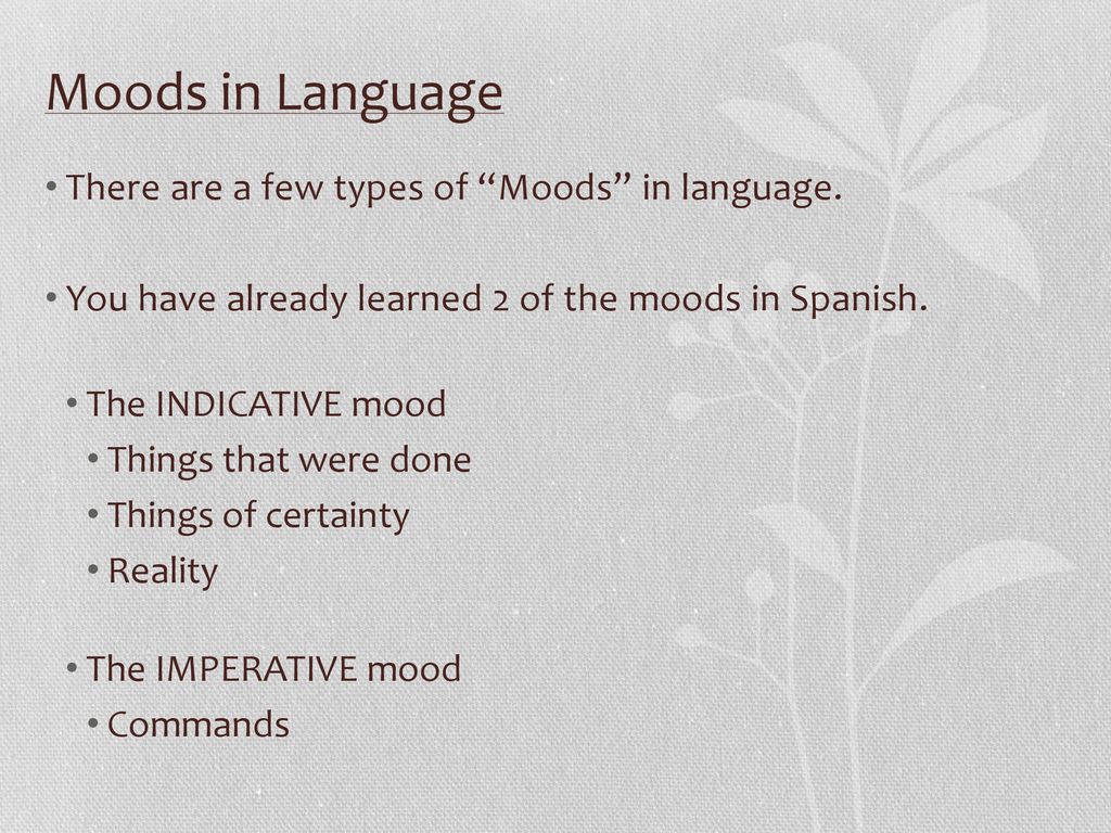 Moods in Language There are a few types of Moods in language.