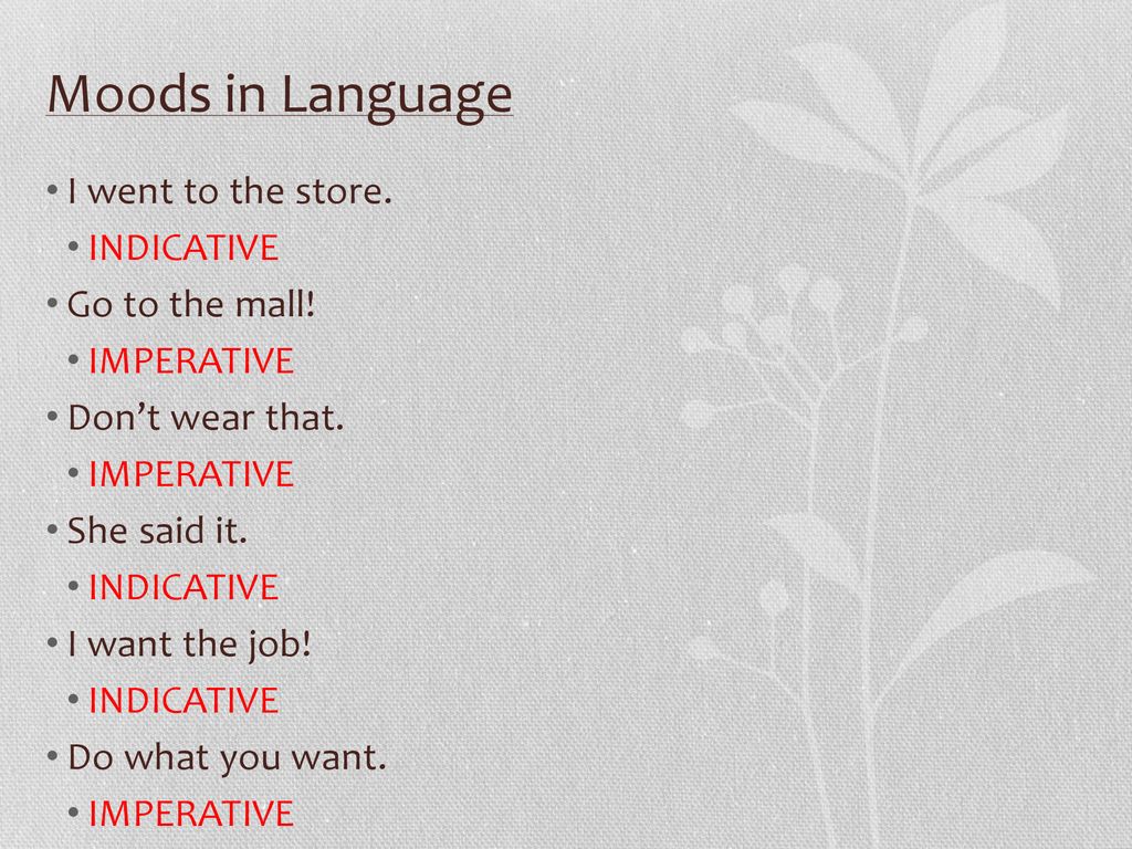 Moods in Language I went to the store. INDICATIVE Go to the mall!