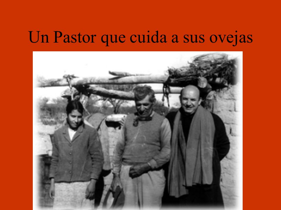 Un Pastor que cuida a sus ovejas