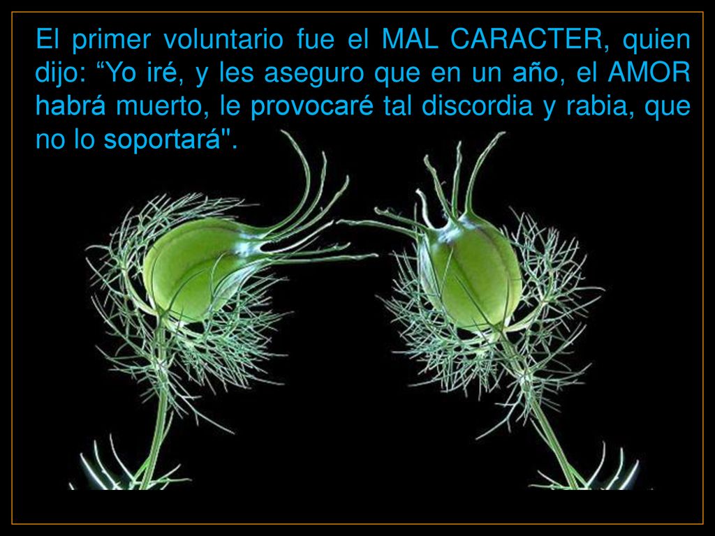 El primer voluntario fue el MAL CARACTER, quien dijo: Yo iré, y les aseguro que en un año, el AMOR habrá muerto, le provocaré tal discordia y rabia, que no lo soportará .