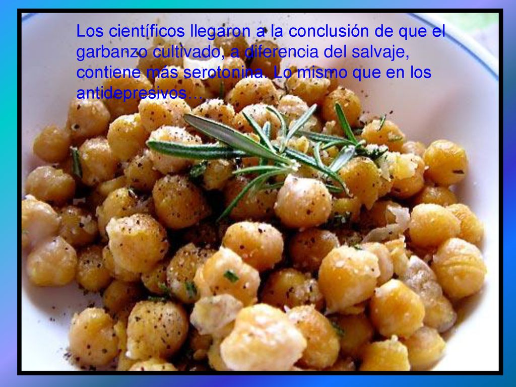 Los científicos llegaron a la conclusión de que el garbanzo cultivado, a diferencia del salvaje, contiene más serotonina.