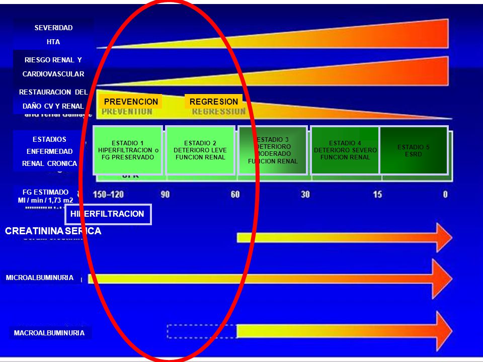 RESTAURACION DEL DAÑO CV Y RENAL RIESGO RENAL Y CARDIOVASCULAR