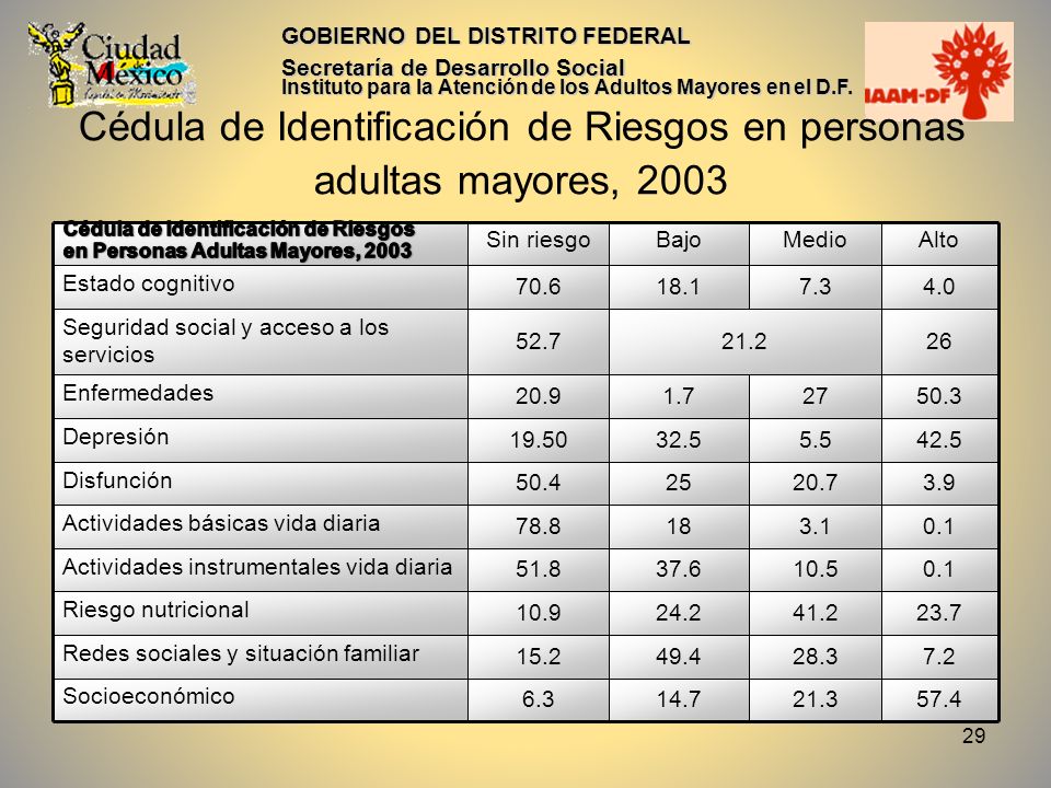 Cédula de Identificación de Riesgos en personas adultas mayores, 2003