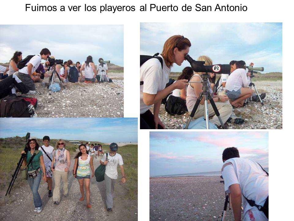 Fuimos a ver los playeros al Puerto de San Antonio