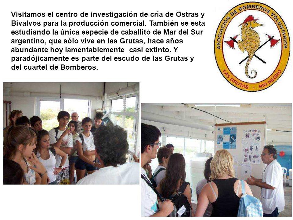 Visitamos el centro de investigación de cría de Ostras y Bivalvos para la producción comercial.