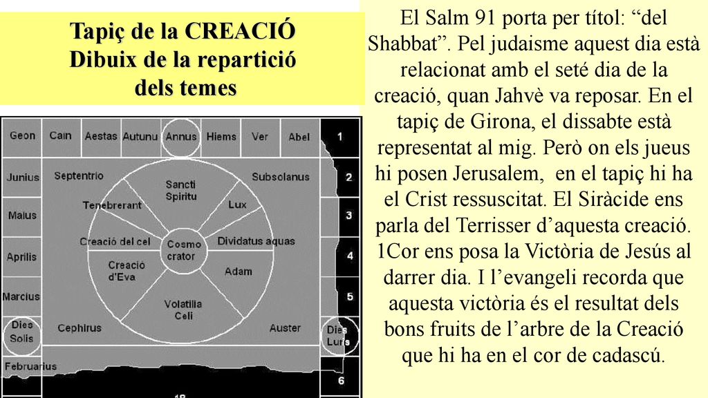 Tapiç de la CREACIÓ Dibuix de la repartició dels temes