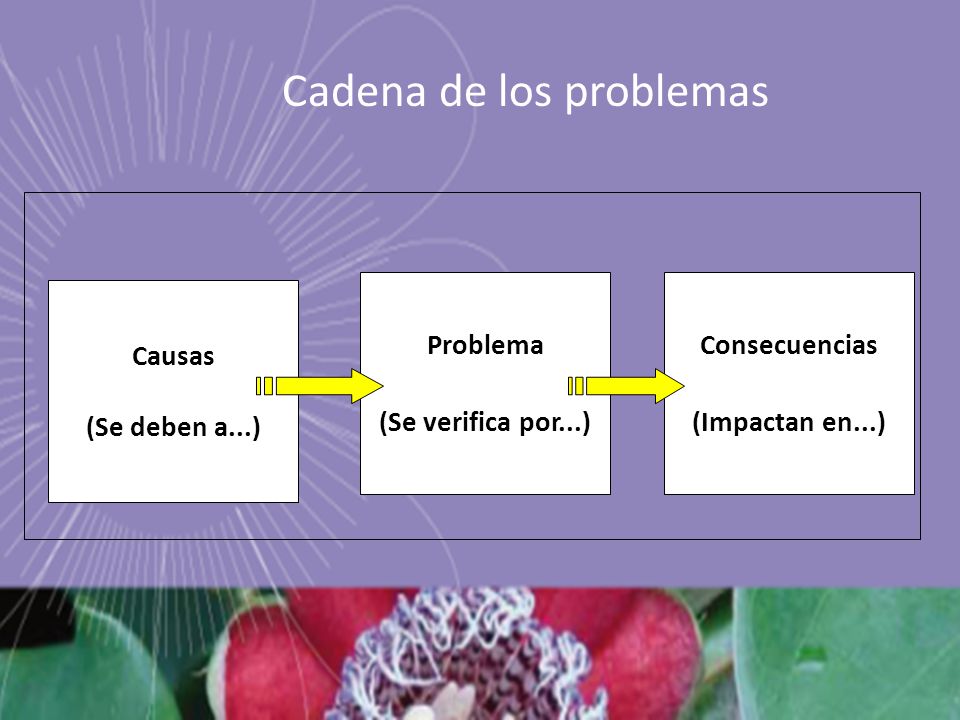 Cadena de los problemas