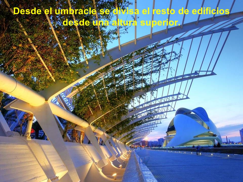 Desde el umbracle se divisa el resto de edificios desde una altura superior.