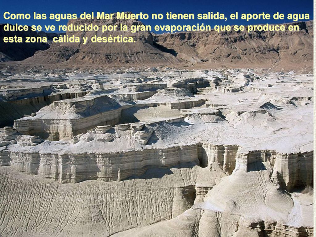 Como las aguas del Mar Muerto no tienen salida, el aporte de agua dulce se ve reducido por la gran evaporación que se produce en esta zona cálida y desértica.