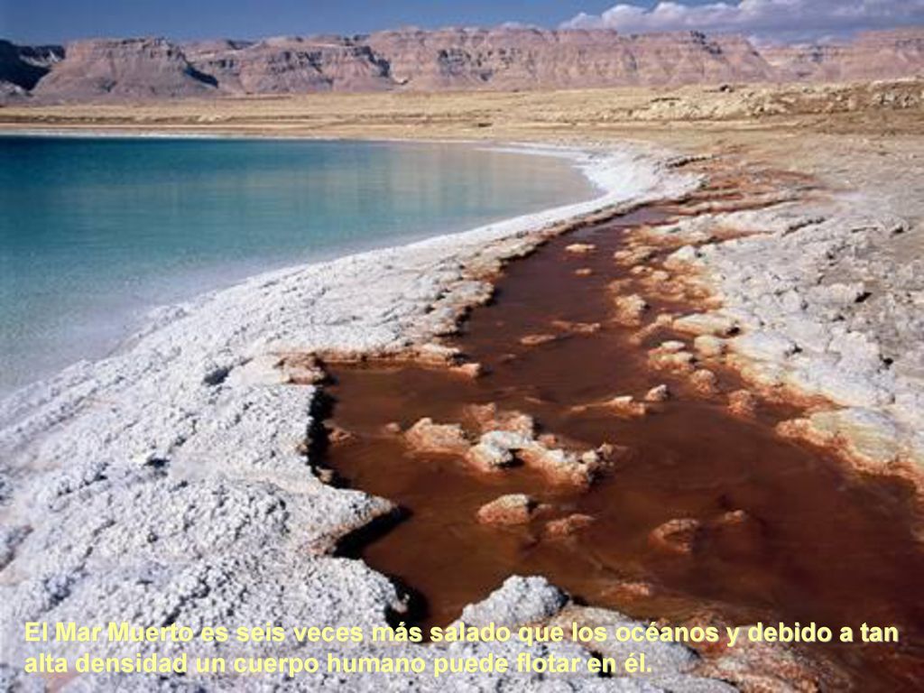 El Mar Muerto es seis veces más salado que los océanos y debido a tan alta densidad un cuerpo humano puede flotar en él.
