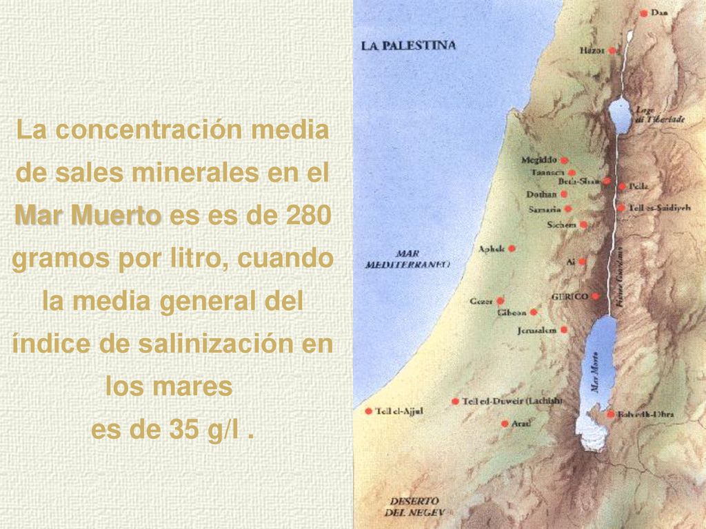 La concentración media de sales minerales en el Mar Muerto es es de 280 gramos por litro, cuando la media general del índice de salinización en los mares