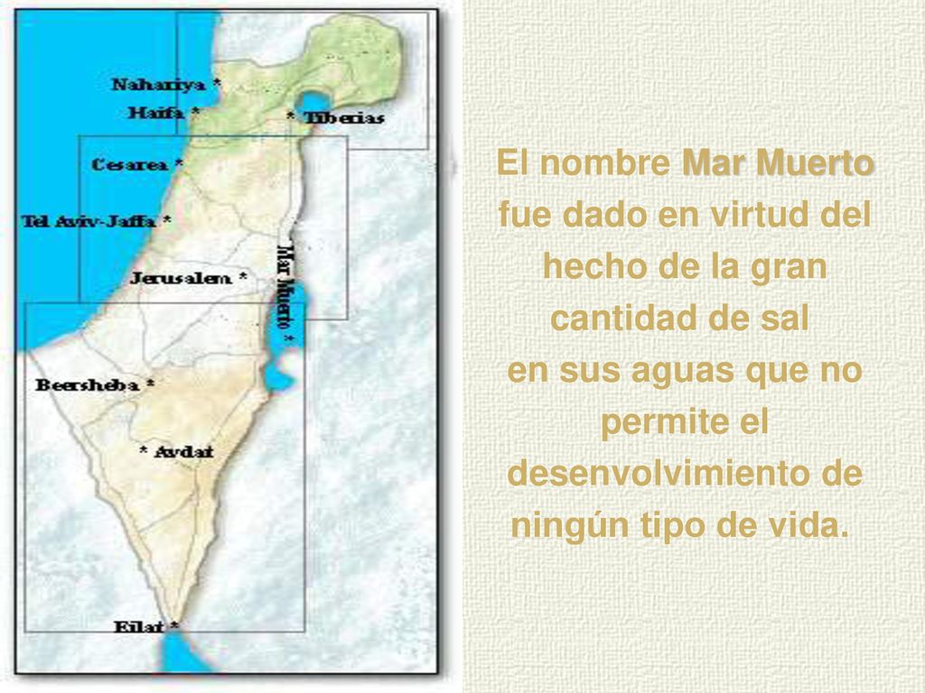 El nombre Mar Muerto fue dado en virtud del hecho de la gran cantidad de sal