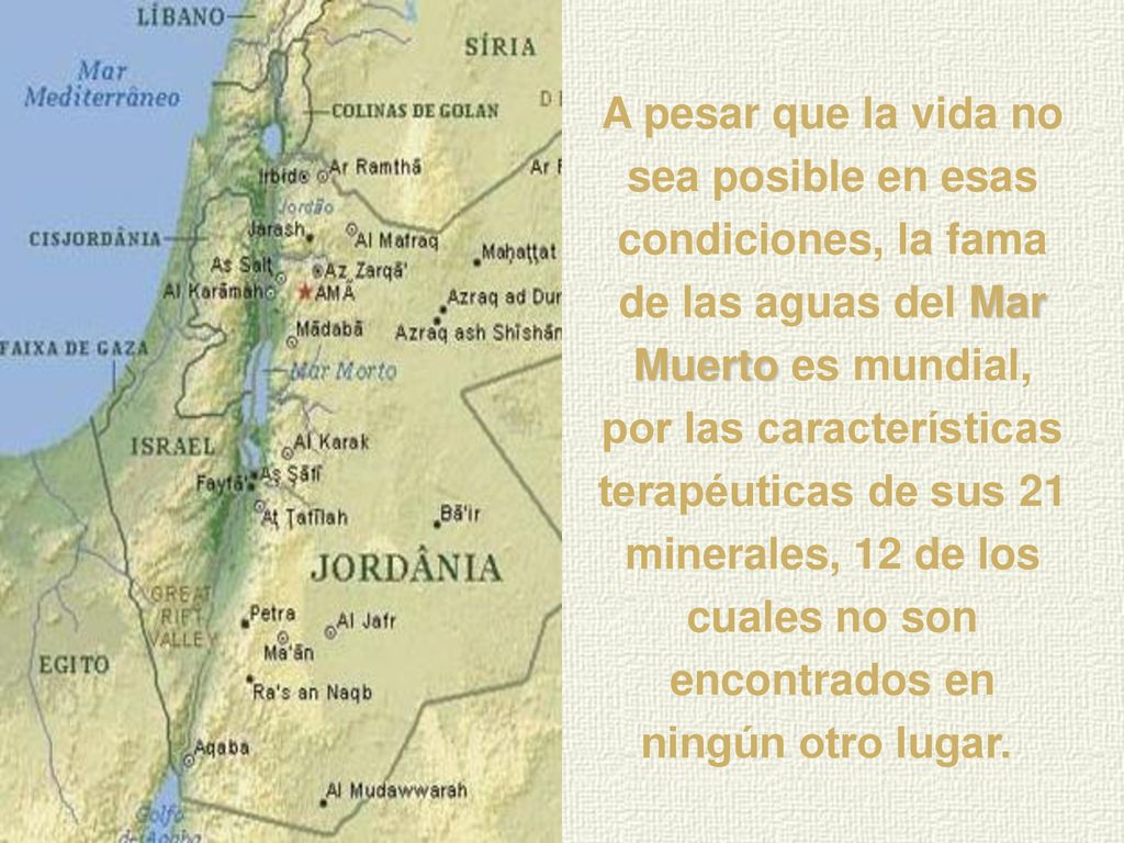 A pesar que la vida no sea posible en esas condiciones, la fama de las aguas del Mar Muerto es mundial, por las características terapéuticas de sus 21 minerales, 12 de los cuales no son encontrados en ningún otro lugar.