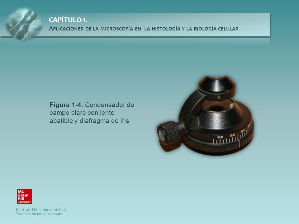 Figura 1-4. Condensador de campo claro con lente abatible y diafragma de iris