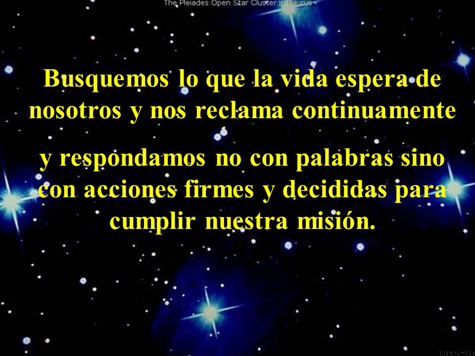 Busquemos lo que la vida espera de nosotros y nos reclama continuamente