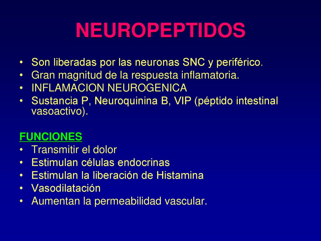 NEUROPEPTIDOS Son liberadas por las neuronas SNC y periférico.