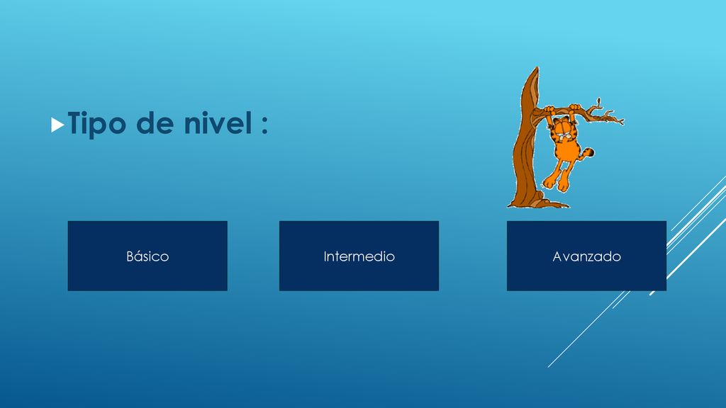 Tipo de nivel : Básico Intermedio Avanzado