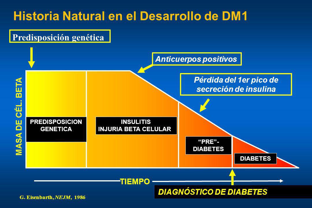 Pérdida del 1er pico de secreción de insulina PREDISPOSICION GENETICA