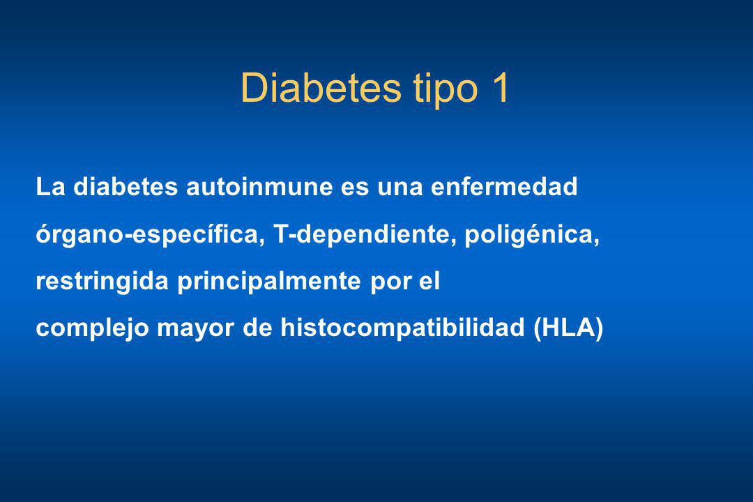 Diabetes tipo 1 La diabetes autoinmune es una enfermedad
