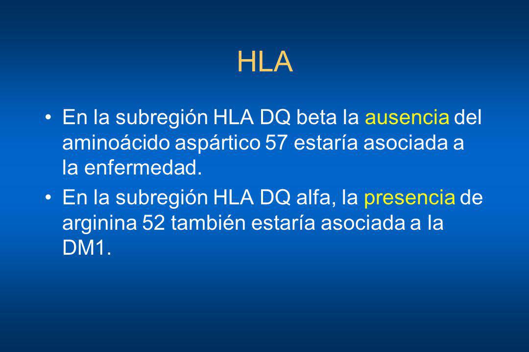 HLA En la subregión HLA DQ beta la ausencia del aminoácido aspártico 57 estaría asociada a la enfermedad.