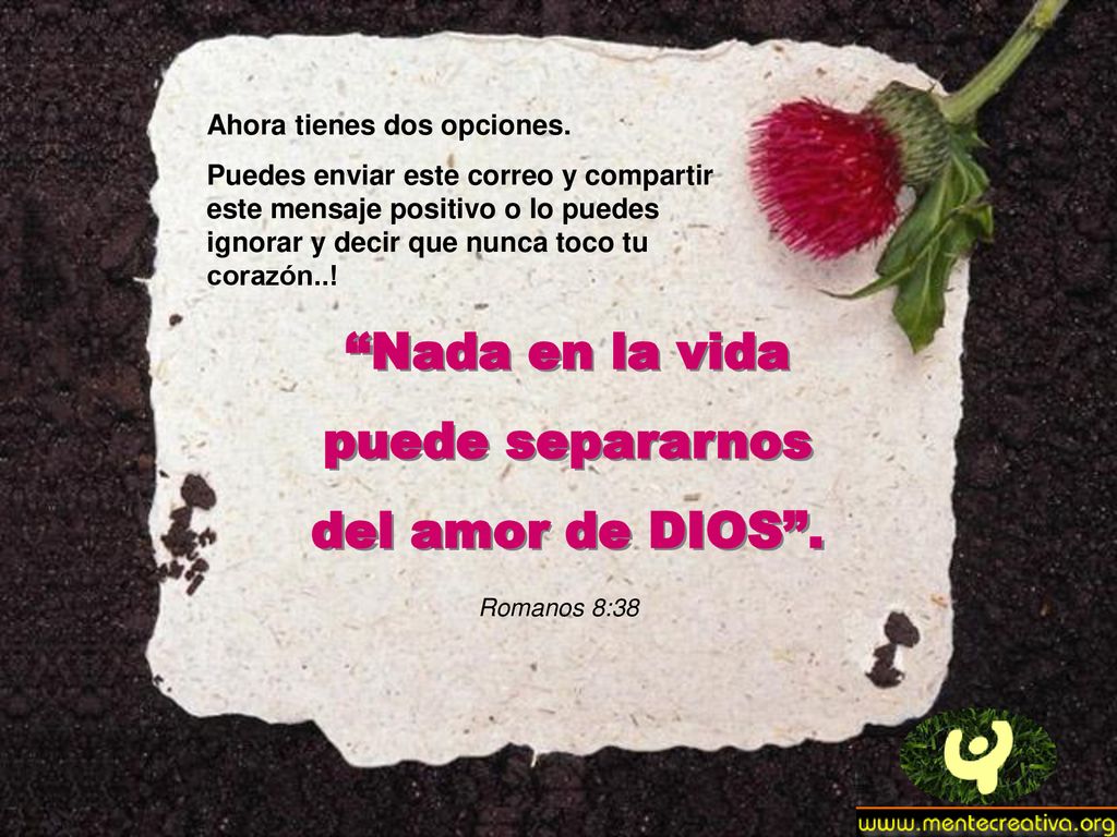 Nada en la vida puede separarnos del amor de DIOS .