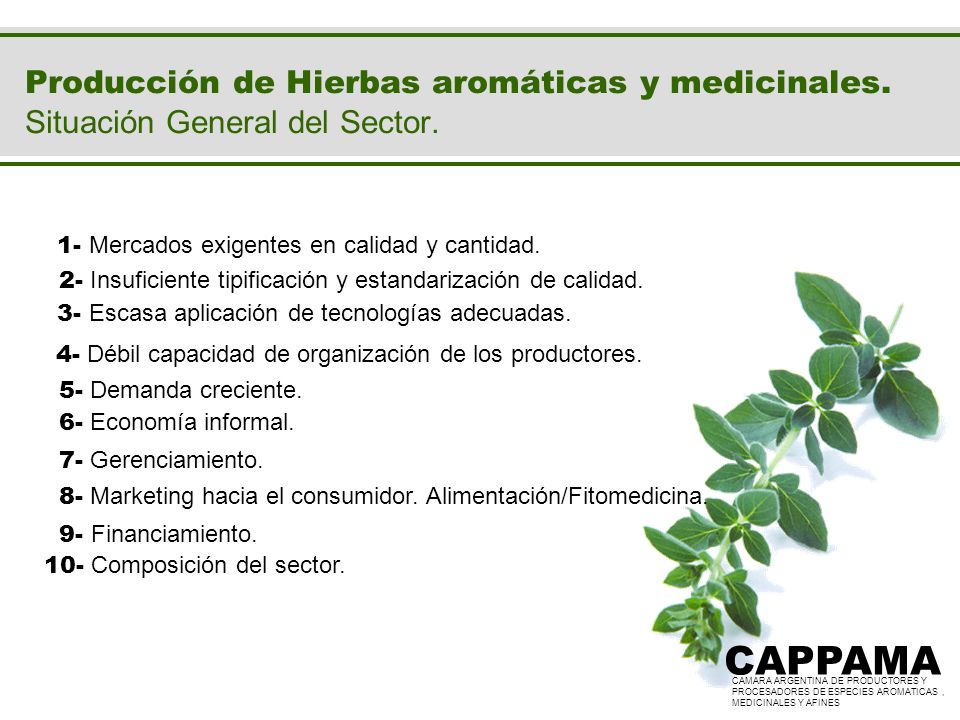Producción de Hierbas aromáticas y medicinales