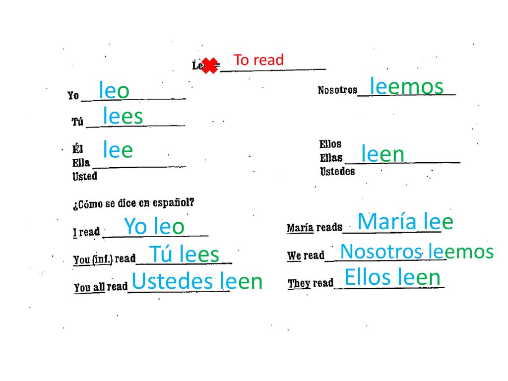 leemos leo lees lee leen María lee Yo leo Tú lees Ellos leen