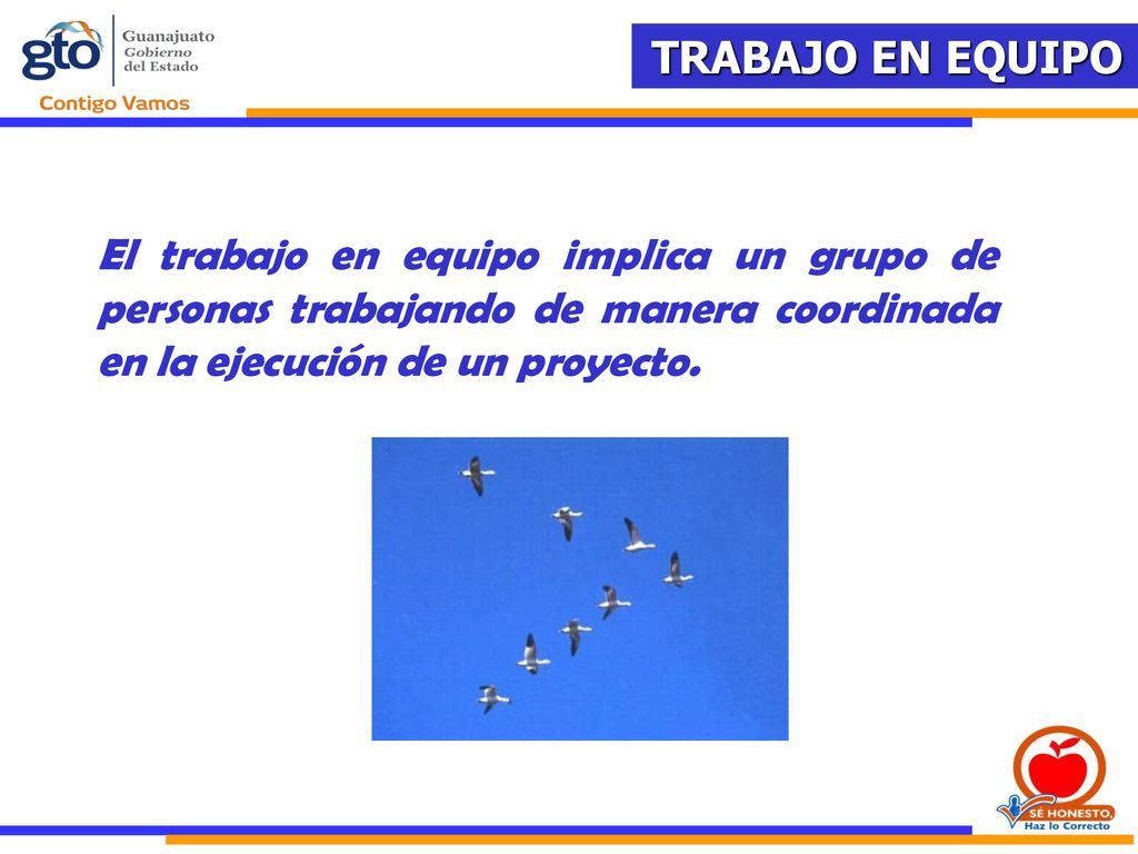 El trabajo en equipo implica un grupo de personas trabajando de manera coordinada en la ejecución de un proyecto.