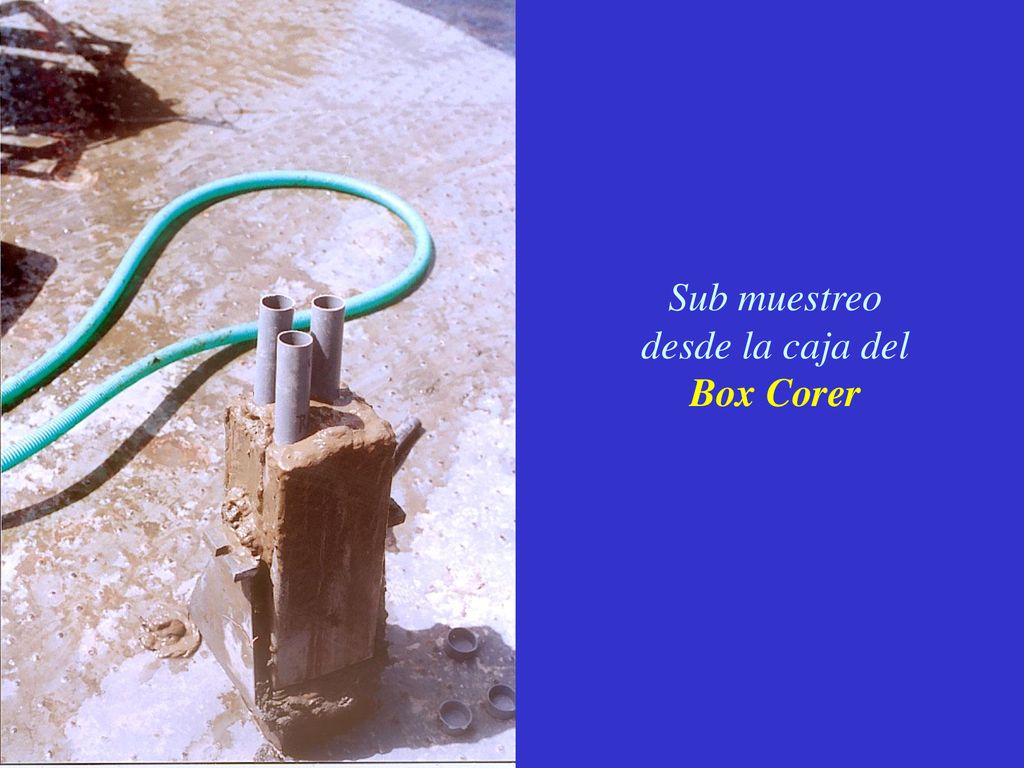 Sub muestreo desde la caja del Box Corer