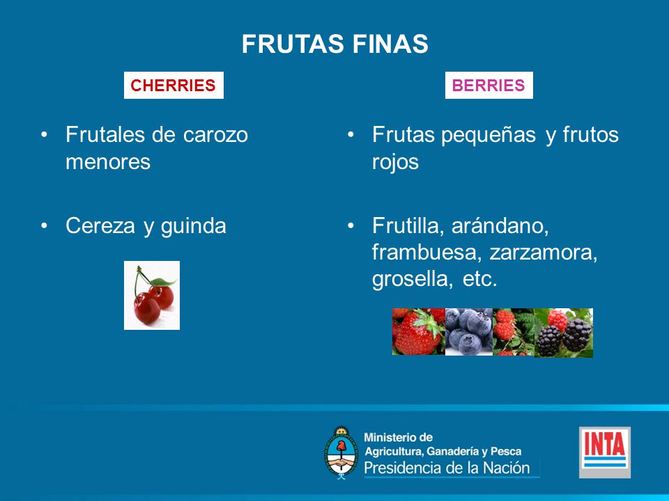 FRUTAS FINAS Frutales de carozo menores Cereza y guinda