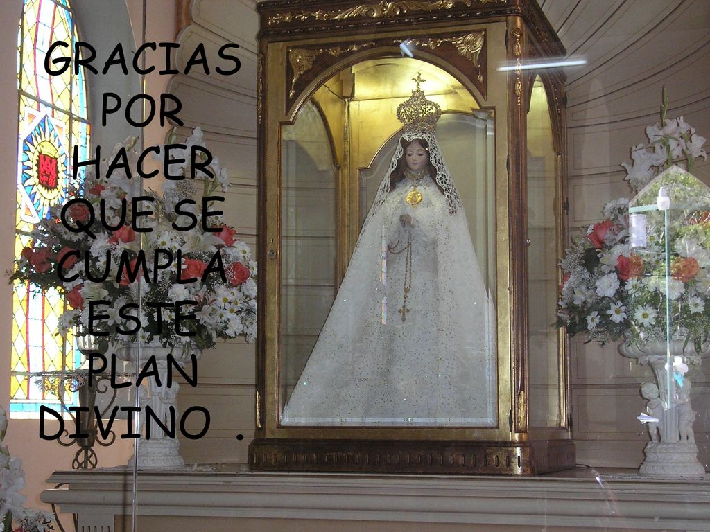 GRACIAS POR HACER QUE SE CUMPLA ESTE PLAN DIVINO .