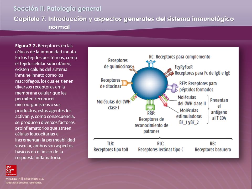 Figura 7-2. Receptores en las células de la inmunidad innata