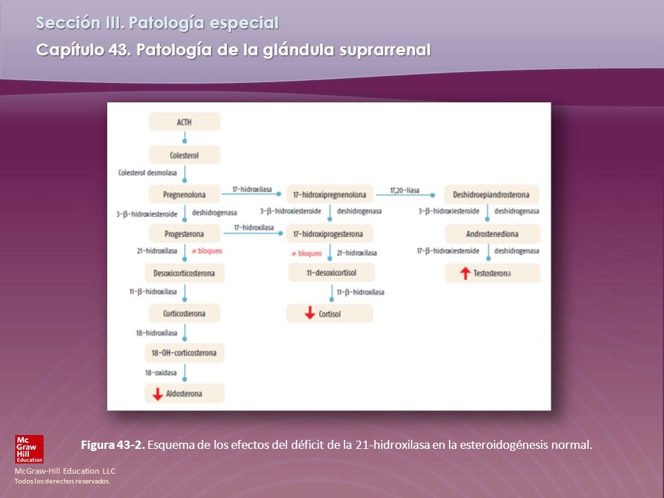 Figura Esquema de los efectos del déficit de la 21-hidroxilasa en la esteroidogénesis normal.