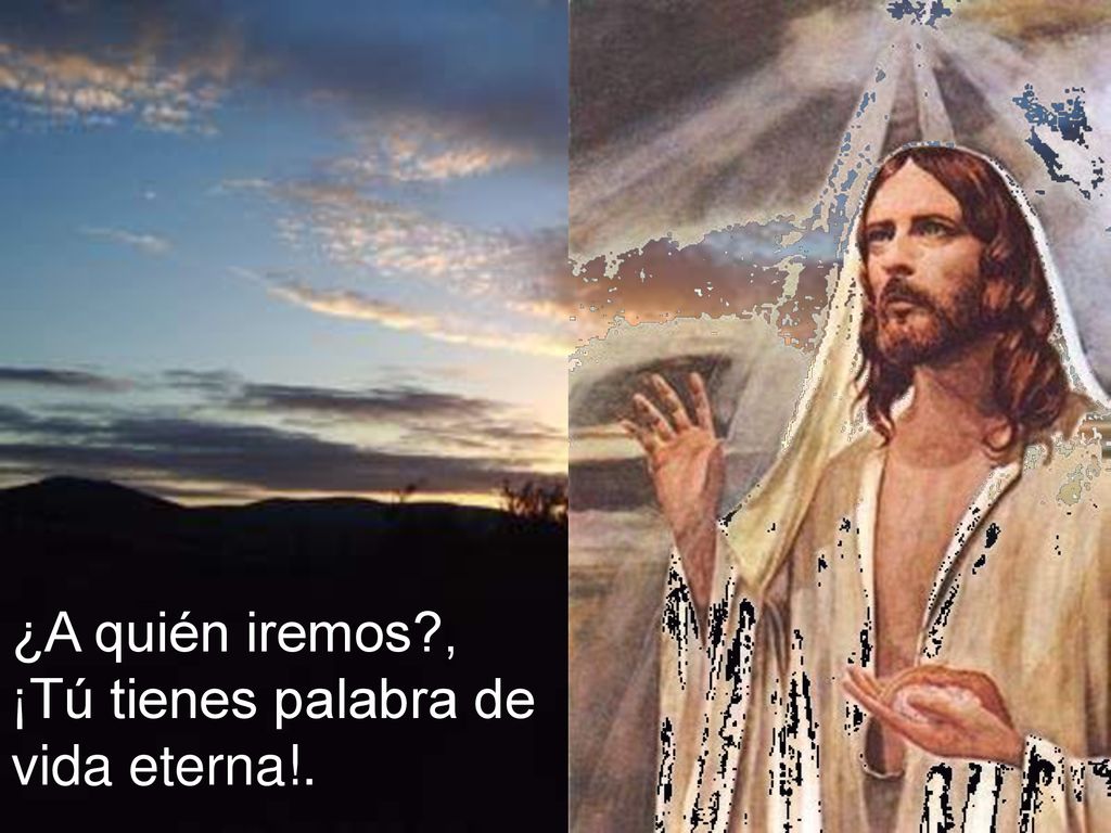 ¿A quién iremos , ¡Tú tienes palabra de vida eterna!.