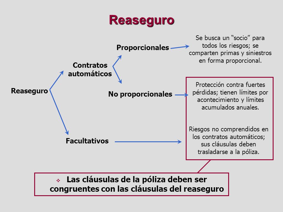 Contratos automáticos