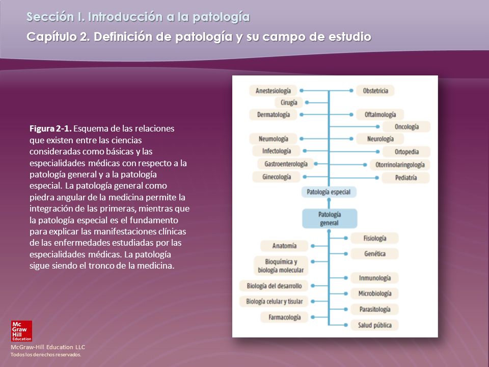 Figura 2-1.