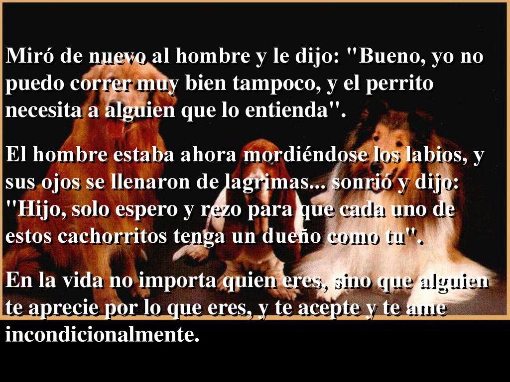 Miró de nuevo al hombre y le dijo: Bueno, yo no puedo correr muy bien tampoco, y el perrito necesita a alguien que lo entienda .