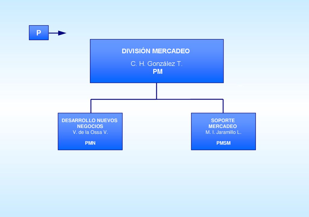 P DIVISIÓN MERCADEO C. H. González T. PM DESARROLLO NUEVOS NEGOCIOS