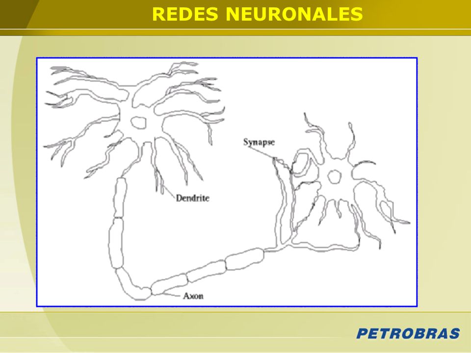 REDES NEURONALES En función de los resultados obtenidos a partir de las estimaciones realizadas con métodos lineales, se recurrió a la técnica de RN.