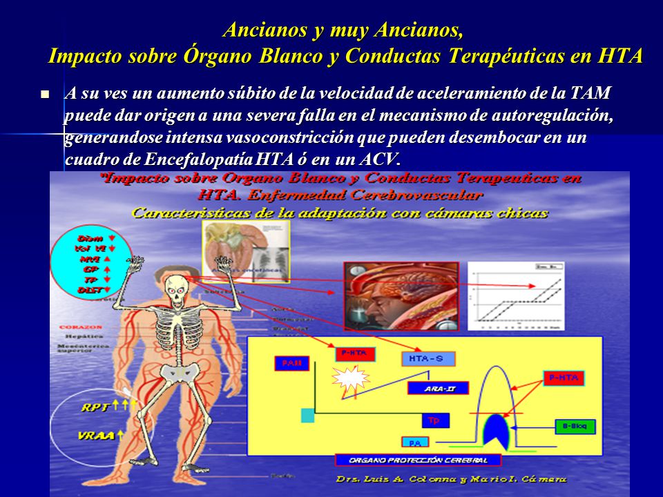 Ancianos y muy Ancianos, Impacto sobre Órgano Blanco y Conductas Terapéuticas en HTA